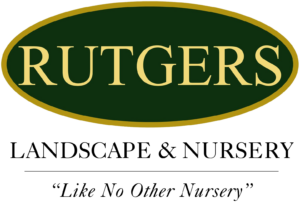 rutgers-nursery